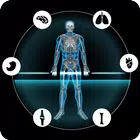 Xray Tarayıcı ve Anatomi simgesi