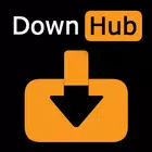 DownHub simgesi