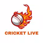 Live Cricket Score simgesi