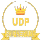 SAIF NET UDP simgesi