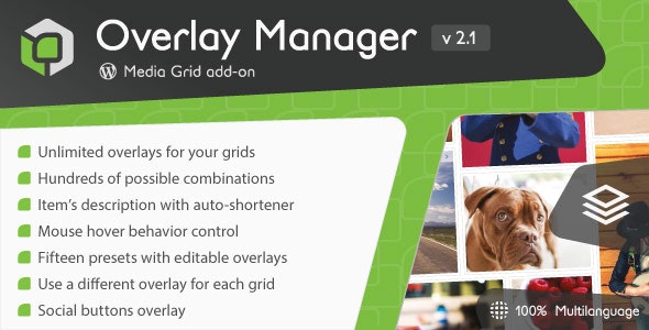 Media Grid - Overlay Manager add-on - CodeCanyon Item for Sale