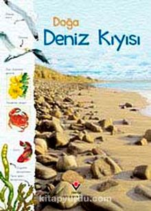 Doğa: Deniz Kıyısı