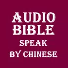 Audio BIBLE simgesi