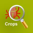 MyPestGuide Crops simgesi